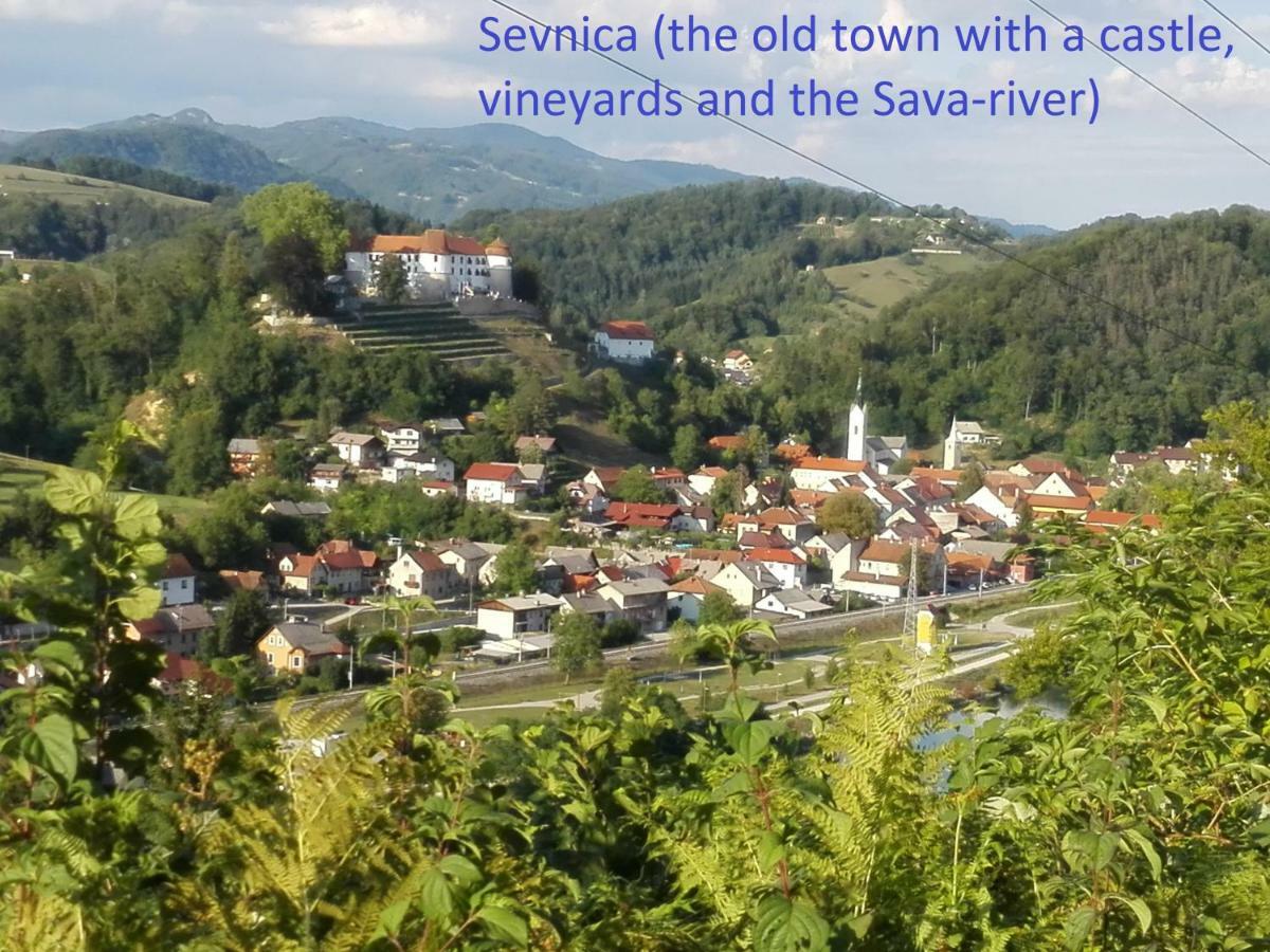 Вилла Getaway "At The Three Lights" Sevnica Экстерьер фото